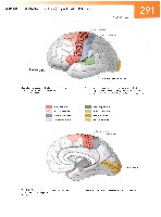 Sobotta Atlas of Human Anatomy  Head,Neck,Upper Limb Volume1 2006, page 298